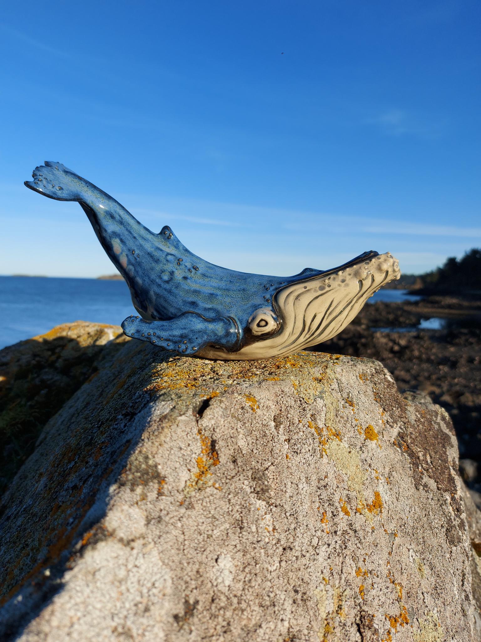 Ceramic Whale Image