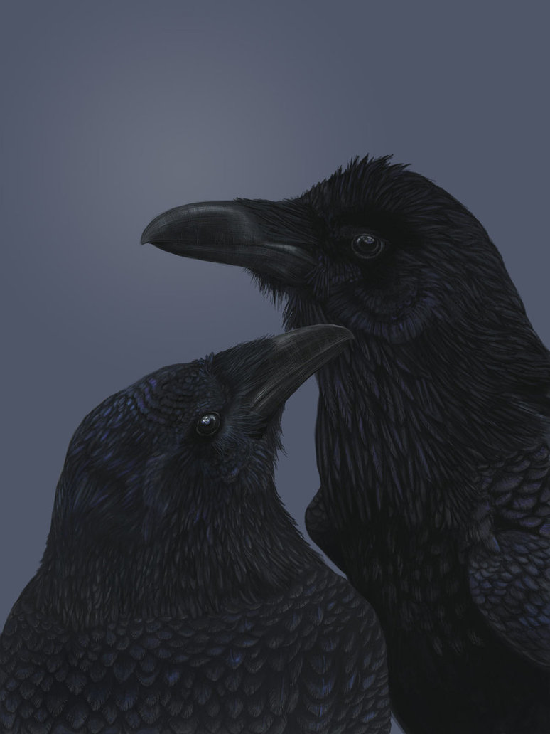 Raven Pair Image