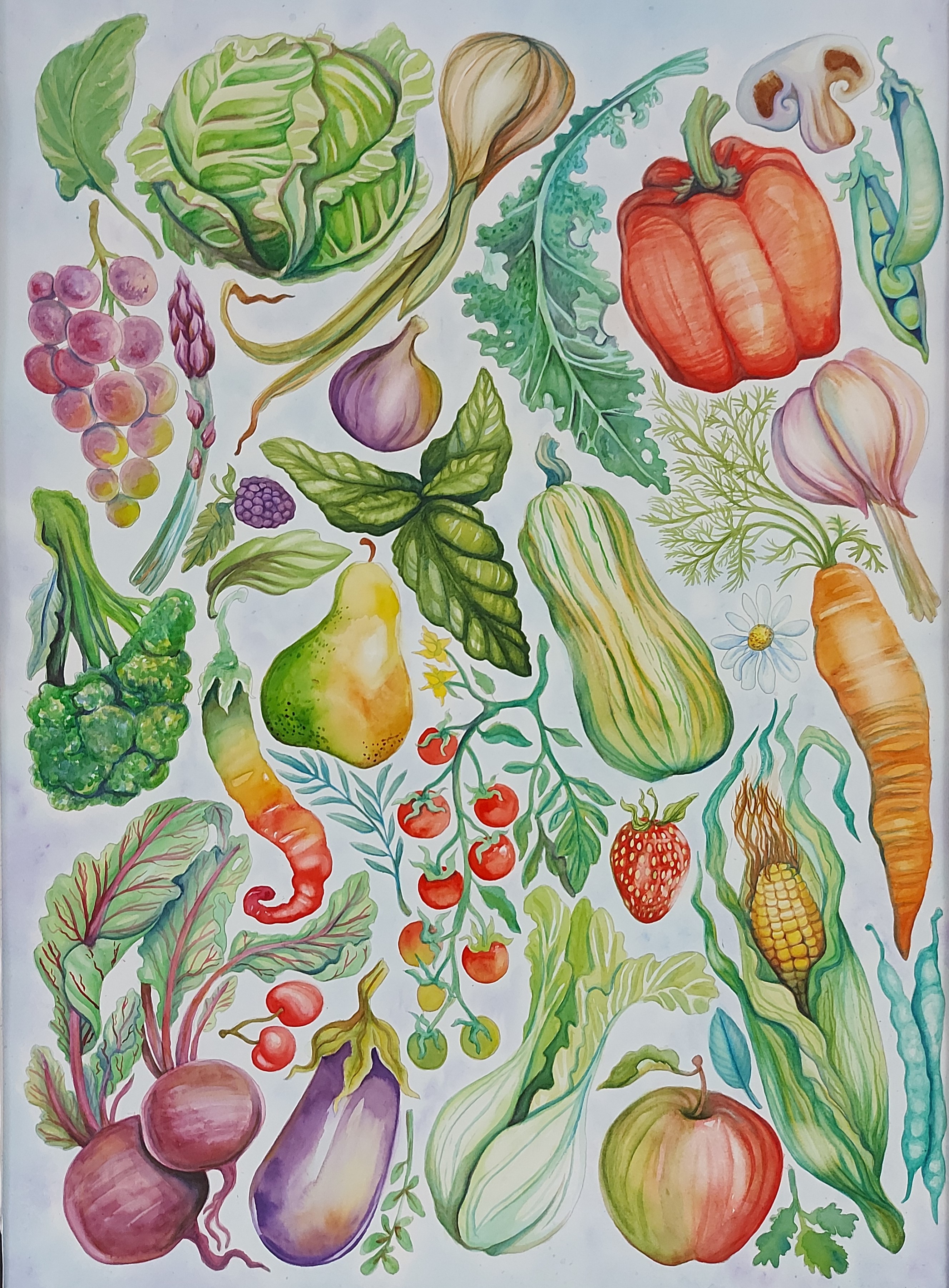 Vegetebles in watercolor