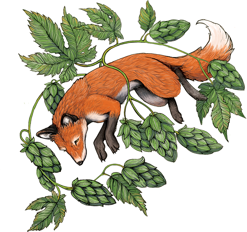 Hops Fox Image