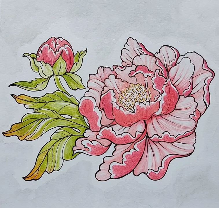 Peonies Image