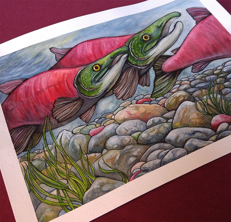 Sockeye Salmon Image